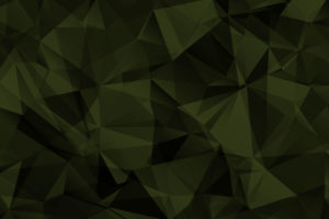 the coaching camo seperator