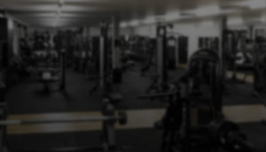 The Coaching Headquarters - Über Uns